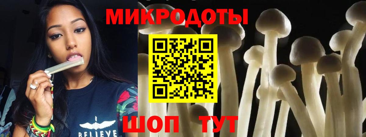 Галлюциногенные грибы Psilocybine cubensis Каменск-Уральский